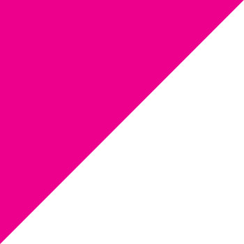 Pink solid triangle